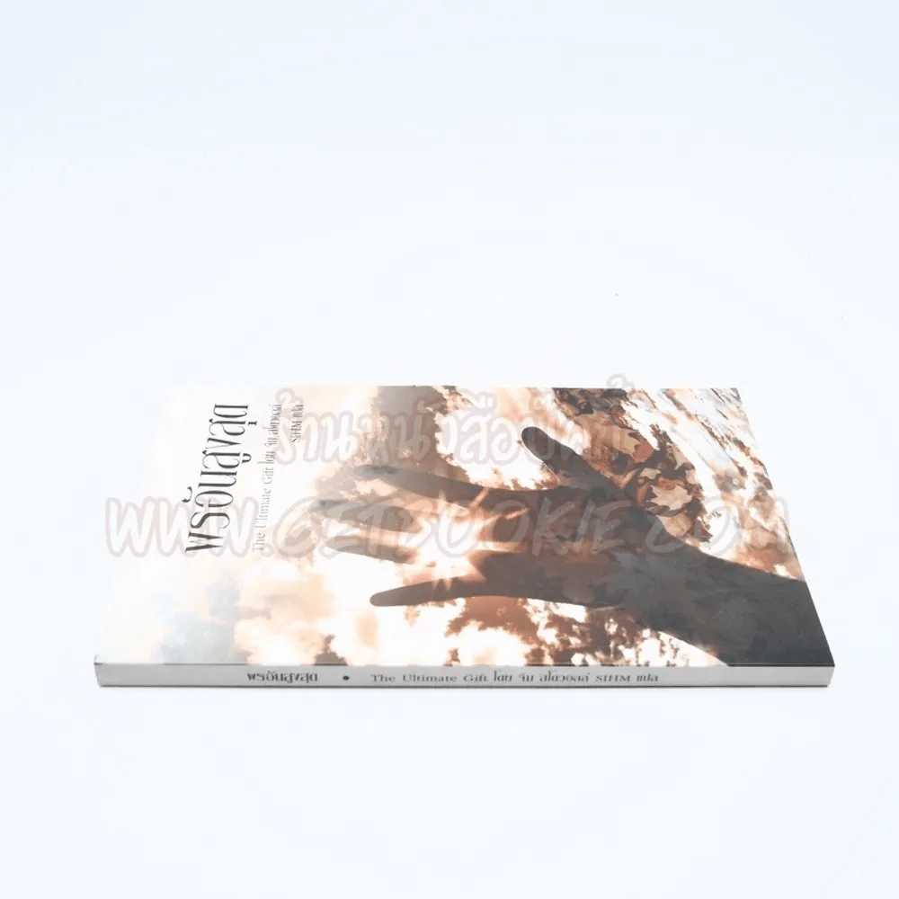 พรอันสูงสุด The Ultimate Gift รูปที่ 2