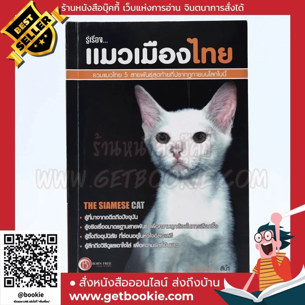รู้เรื่องแมวเมืองไทย - สีน้ำ รูปที่ 1