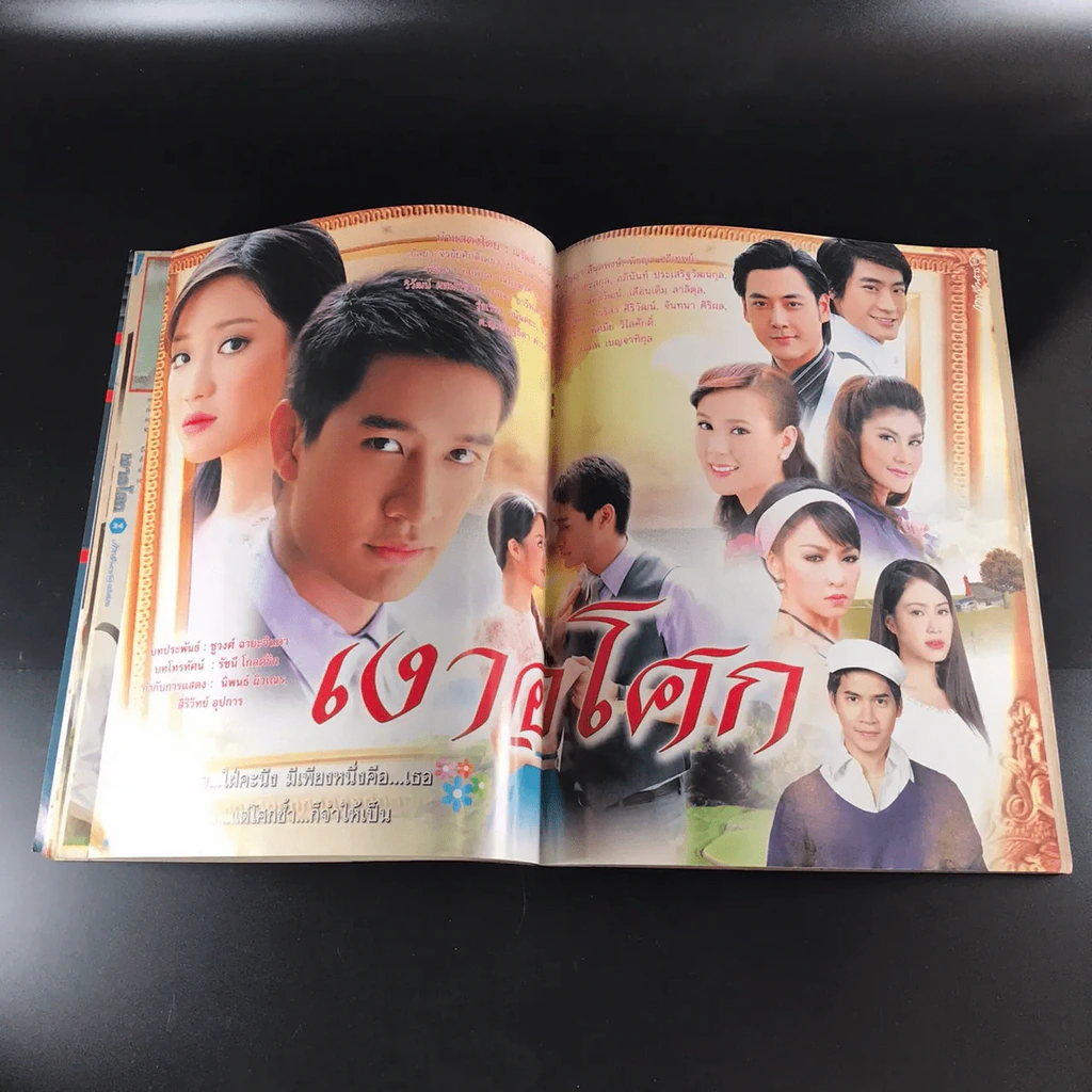 เงาอโศก รูปที่ 11