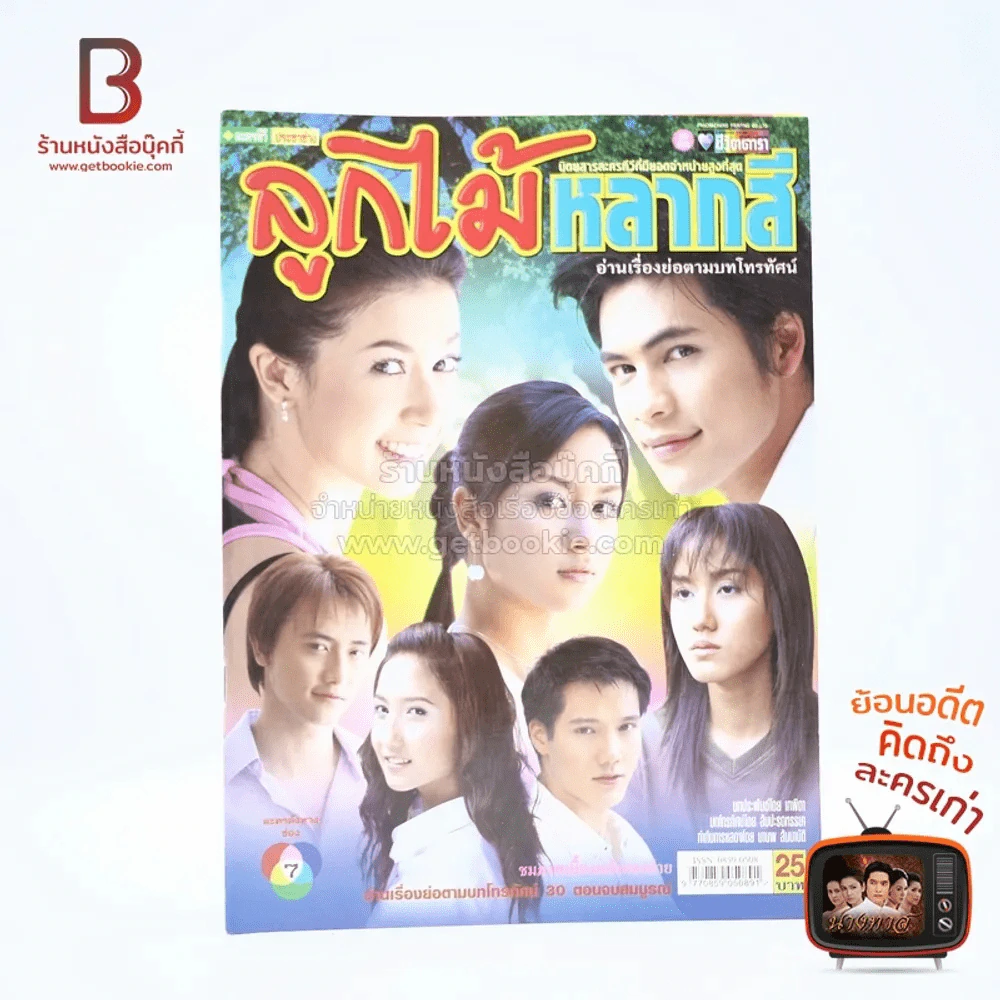 ลูกไม้หลากสี รูปที่ 1