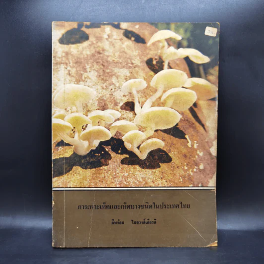 การเพาะเห็ดและเห็ดบางชนิดในประเทศไทย รูปที่ 1
