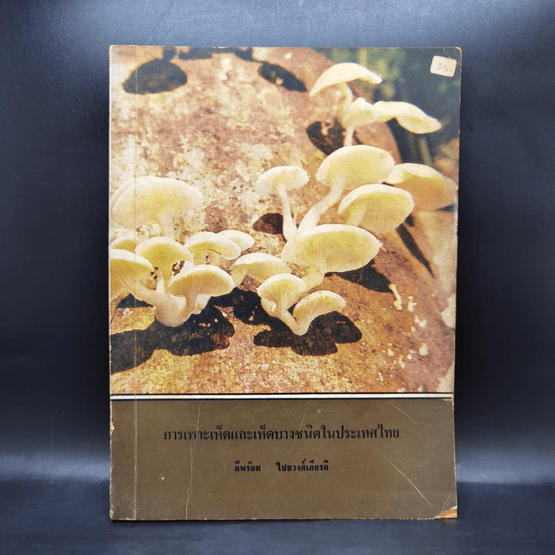 การเพาะเห็ดและเห็ดบางชนิดในประเทศไทย รูปที่ 1