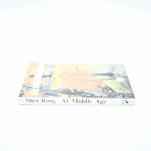 At Middle Age - Shen Rong รูปที่ 2