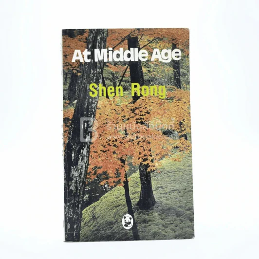 At Middle Age - Shen Rong รูปที่ 1