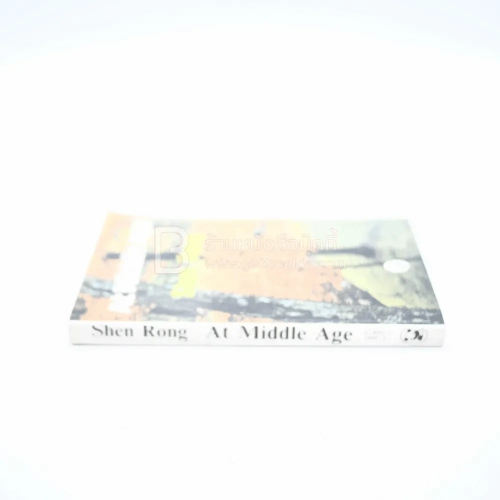 At Middle Age - Shen Rong รูปที่ 3