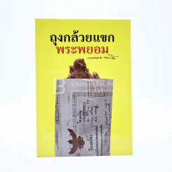 ถุงกล้วยแขกพระพยอม รูปที่ 1