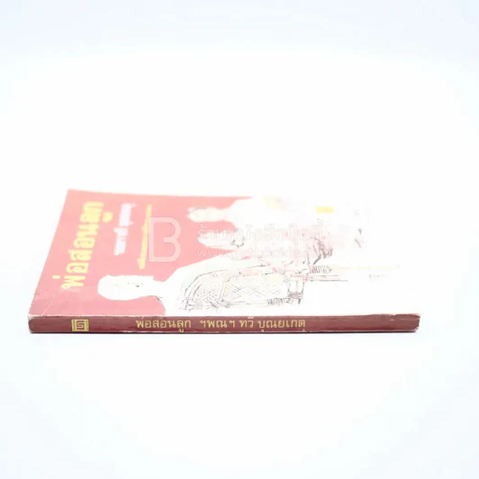 พ่อสอนลูก - ทวี บุญยเกตุ รูปที่ 2