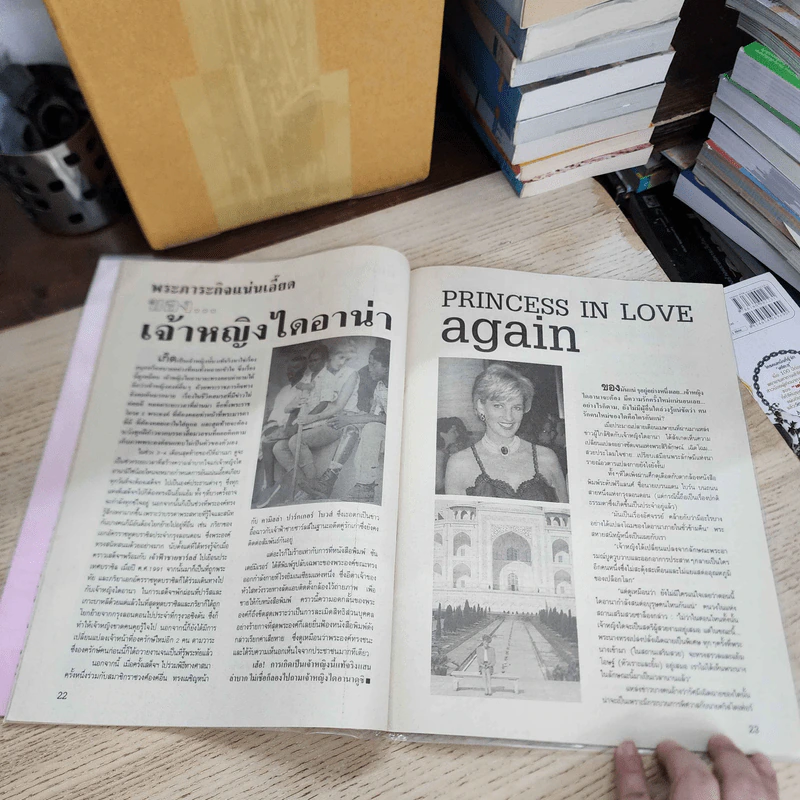 อาลัย Diana ไดอาน่า อุบัติเหตุช็อกโลก รูปที่ 6
