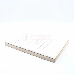 งานพระราชทานเพลิงศพ หม่อมเจ้านิกรเทวัญ เทวกุล 2 เล่ม รูปที่ 2