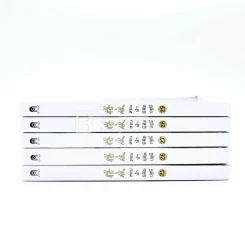 สยบฟ้าพิชิตปฐพี เล่ม 1-29 รูปที่ 6
