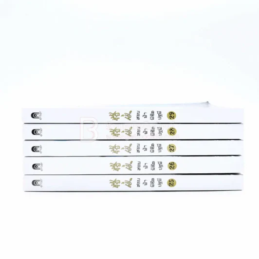สยบฟ้าพิชิตปฐพี เล่ม 1-29 รูปที่ 6