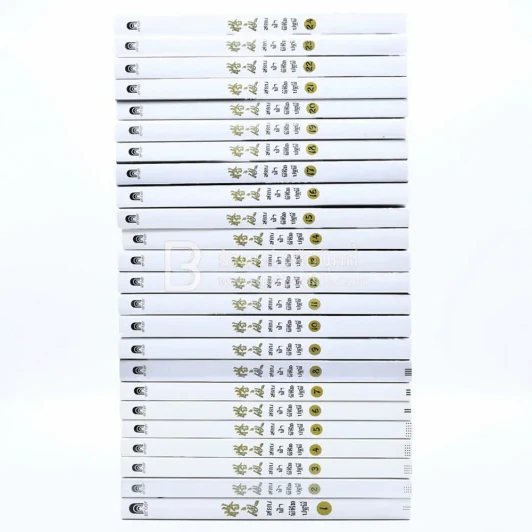 สยบฟ้าพิชิตปฐพี เล่ม 1-29 รูปที่ 2