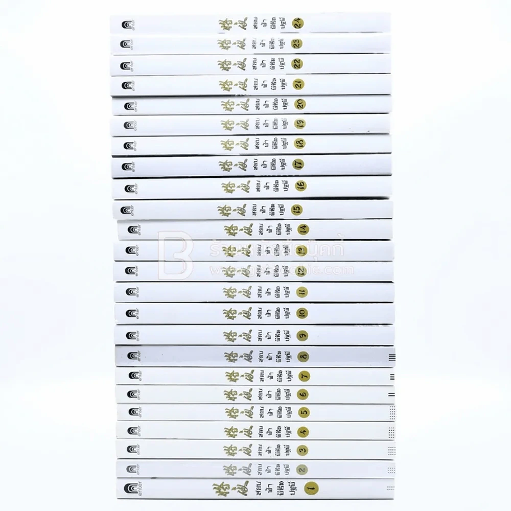 สยบฟ้าพิชิตปฐพี เล่ม 1-29 รูปที่ 2