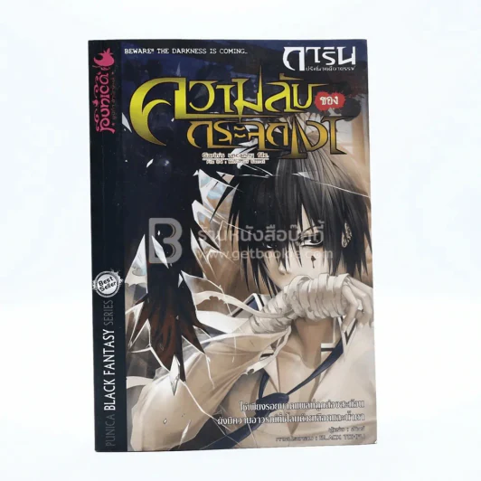 การิน ปริศนาคดีอาถรรพ์ ความลับของกระจกเงา รูปที่ 1