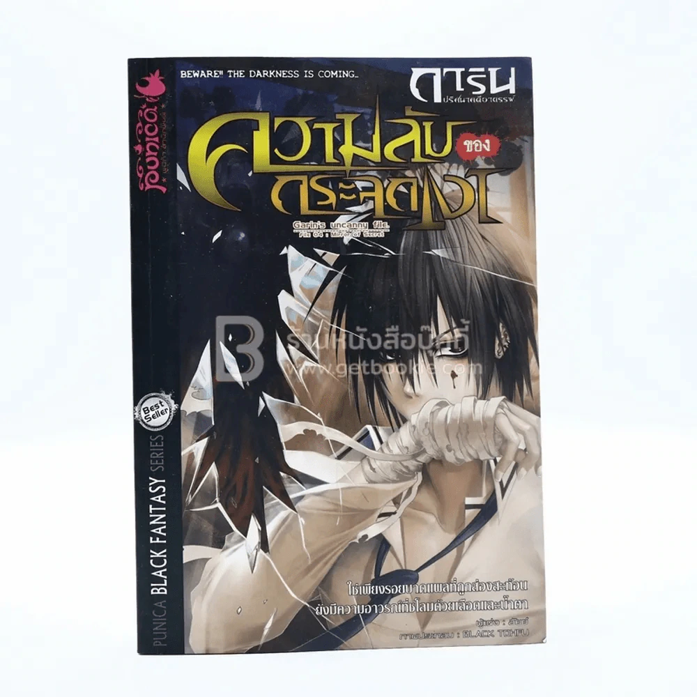 การิน ปริศนาคดีอาถรรพ์ ความลับของกระจกเงา รูปที่ 1