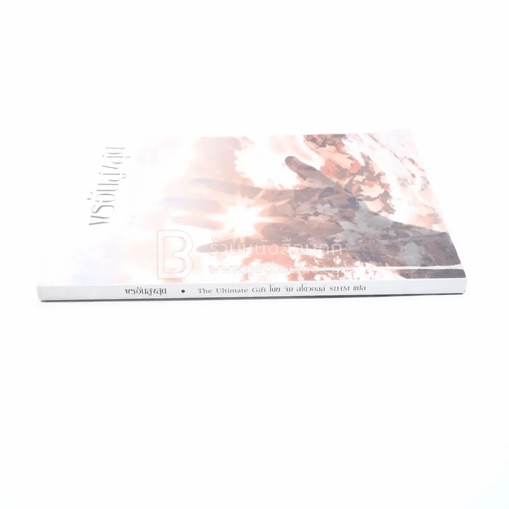 พรอันสูงสุด The Ultimate Gift รูปที่ 2