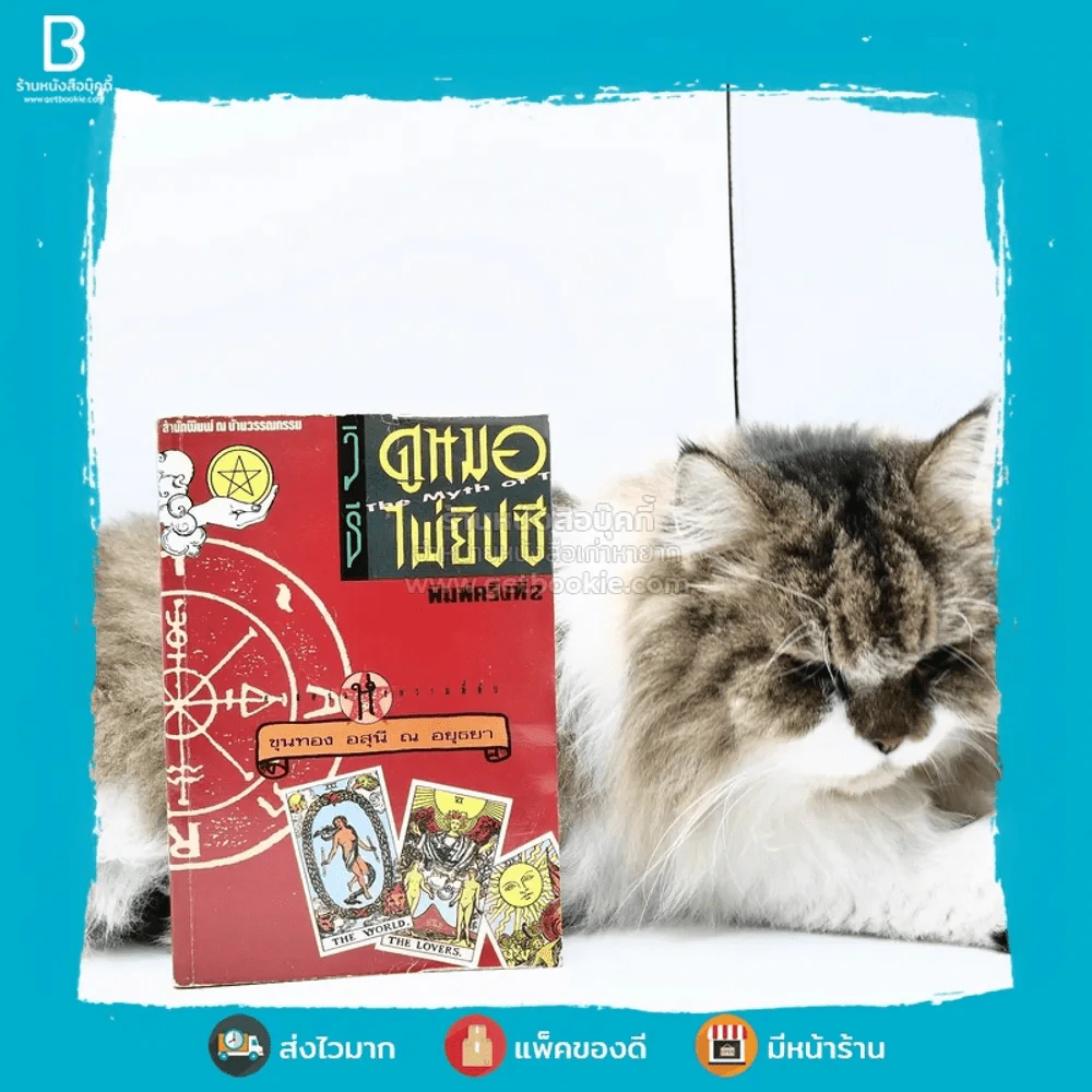 วิธีดูหมอไพ่ยิปซี - ขุนทอง อสุนี ณ อยุธยา (ไม่มีไพ่) รูปที่ 1
