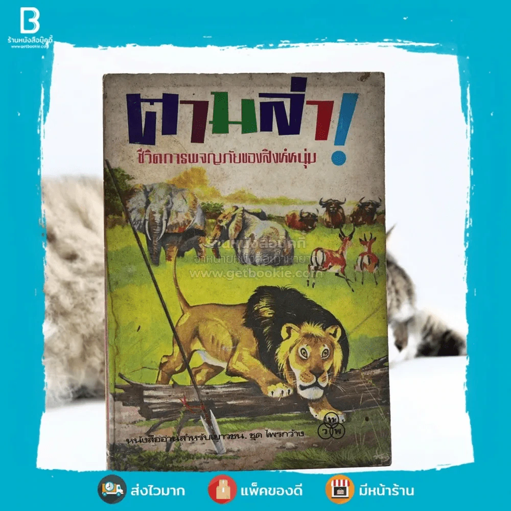 ตามล่า! ชีวิตการผจญภัยของสิงห์หนุ่ม (หนังสืออ่านนอกเวลา) รูปที่ 1
