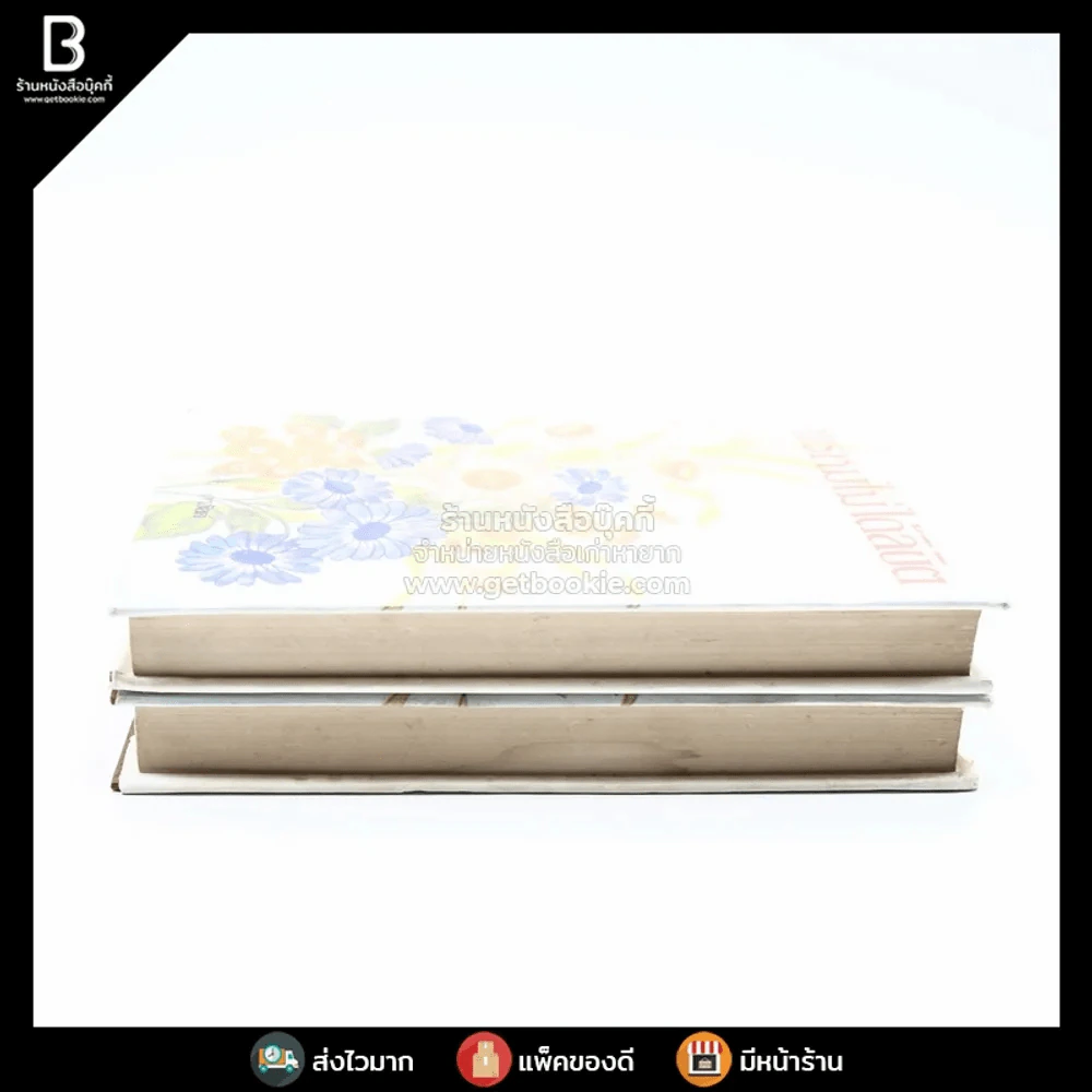 พรหมไม่ได้ลิขิต 2 เล่มจบ - ศรีฟ้า ลดาวัลย์ รูปที่ 3