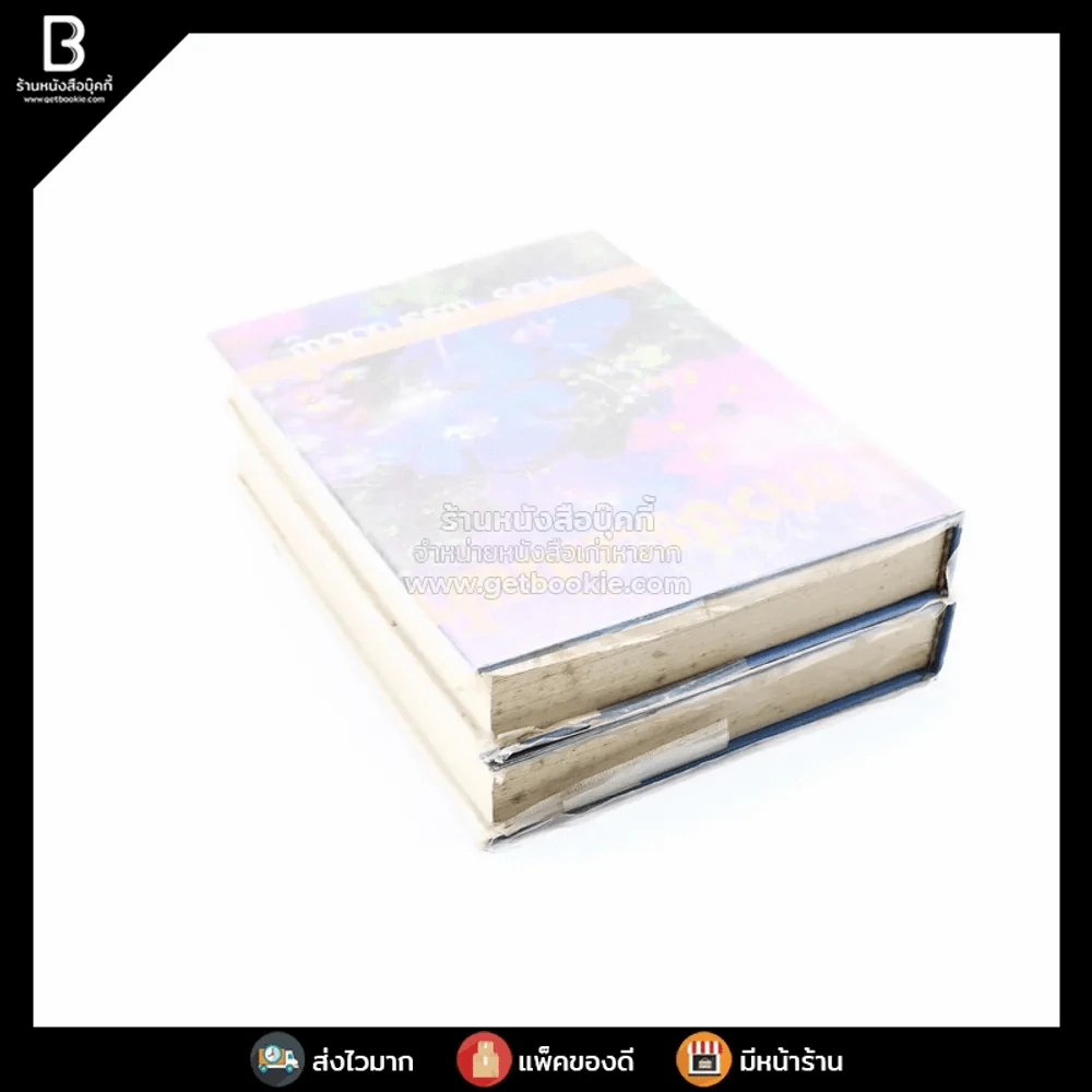 ดาวประดับฟ้า 2 เล่มจบ - จามรี พรรณชมพู รูปที่ 4