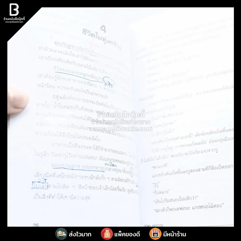 สร้อยทอง - นิมิตร ภูมิถาวร รูปที่ 3