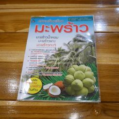 ครบเครื่องเรื่องมะพร้าว รูปที่ 1