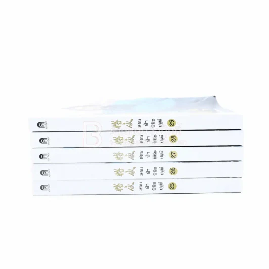 สยบฟ้าพิชิตปฐพี เล่ม 25-29 รูปที่ 2