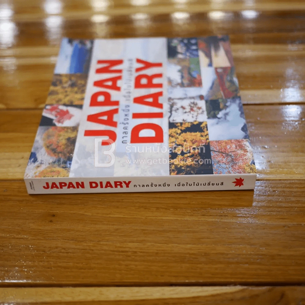 Japan Diary กาลครั้งหนึ่ง เมื่อใบไม้เปลี่ยนสี รูปที่ 2