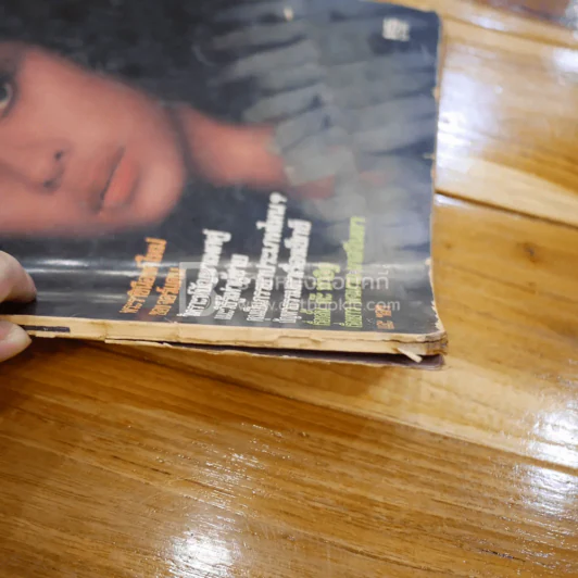 PG ฉบับที่ 11 เพลย์เกิร์ลรายเดือน (สันปกไม่สวย) รูปที่ 3