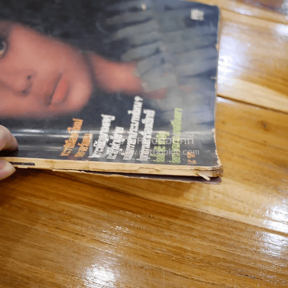 PG ฉบับที่ 11 เพลย์เกิร์ลรายเดือน (สันปกไม่สวย) รูปที่ 3