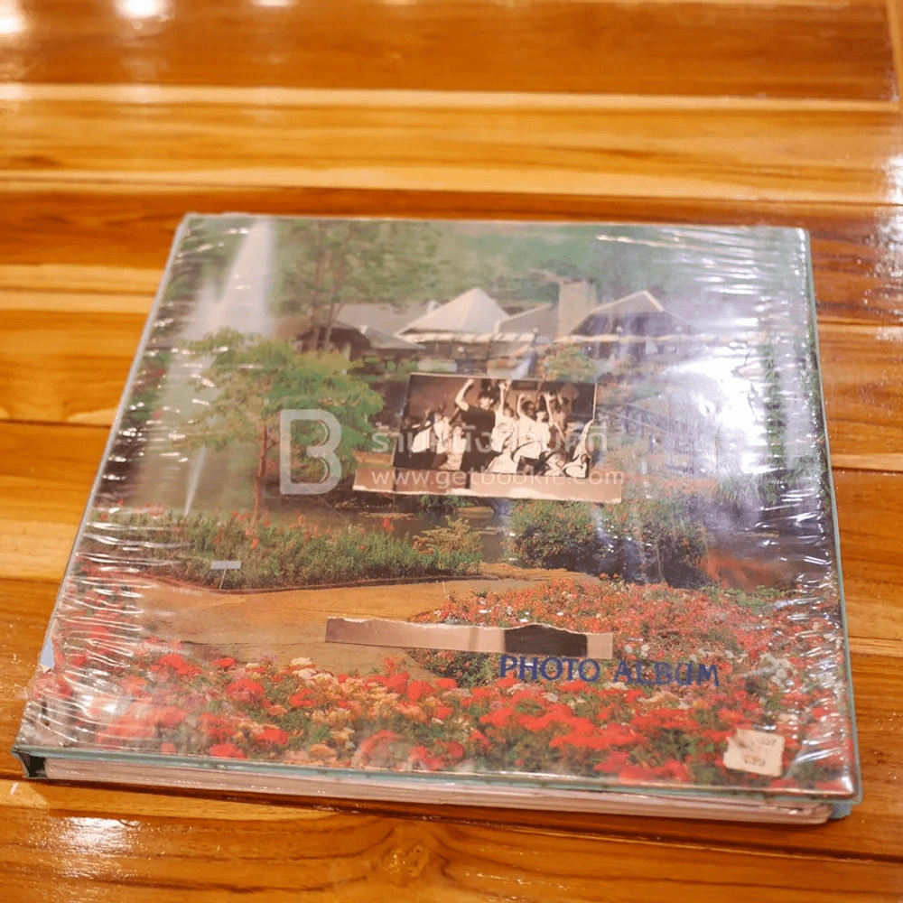 อัลบั้มรวมภาพ เบิร์ด ธงไชย แมคอินไตย์ รูปที่ 2