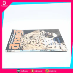 Feature Magazine สารคดี ฉบับที่ 67 ปีที่ 6 กันยายน 2533 เสือ รูปที่ 2
