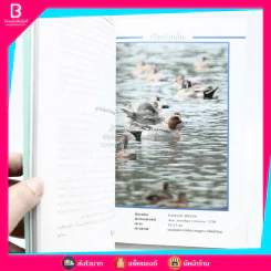ชีวิตนก จากบันทึกและความทรงจำ Bird Life From Records & Remembrance Vol.1-2 - สุธี ศุภรัฐวิกร รูปที่ 5