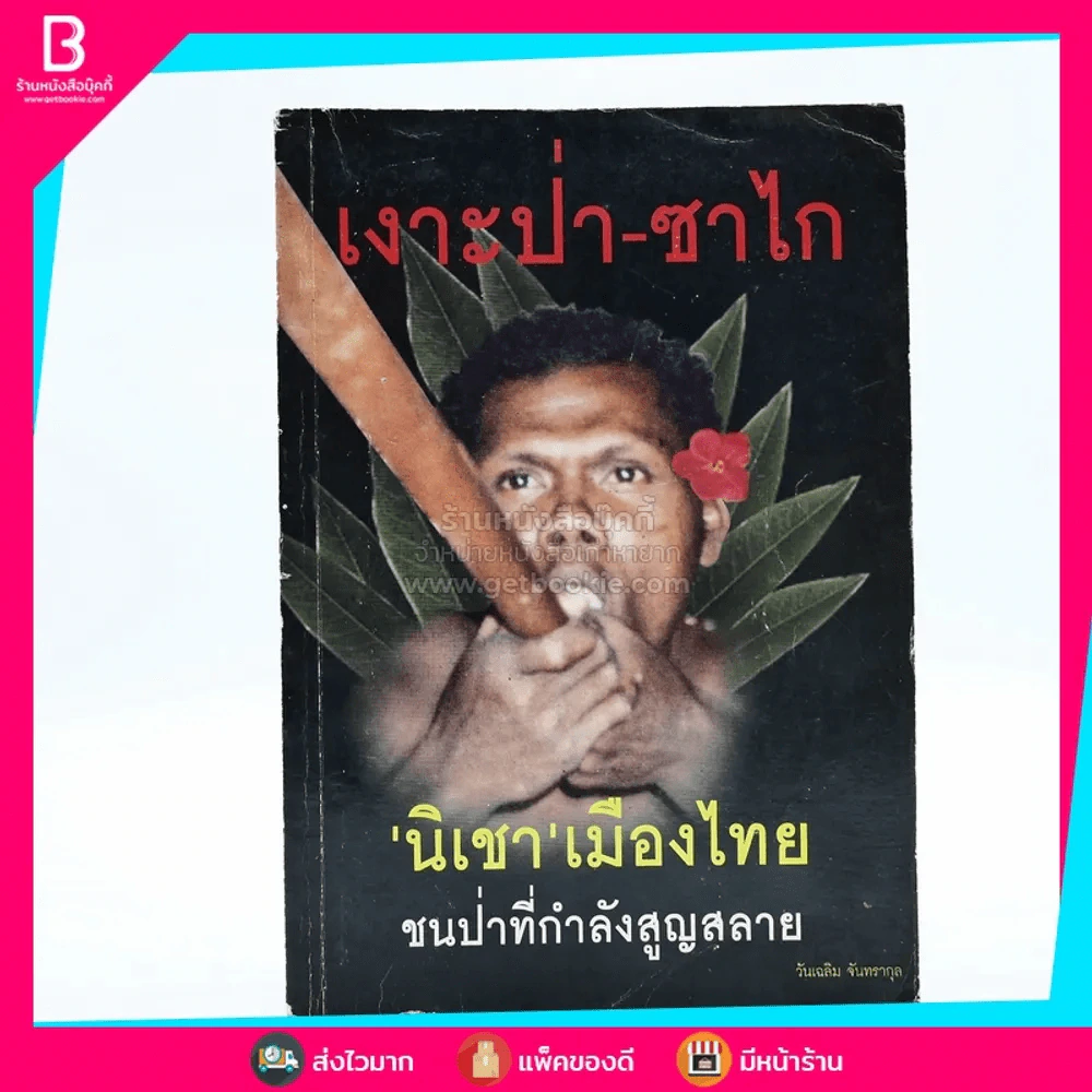 เงาะป่า-ซาไก (นิเชา)เมืองไทย ชนป่าที่กำลังจะสูญสลาย รูปที่ 1