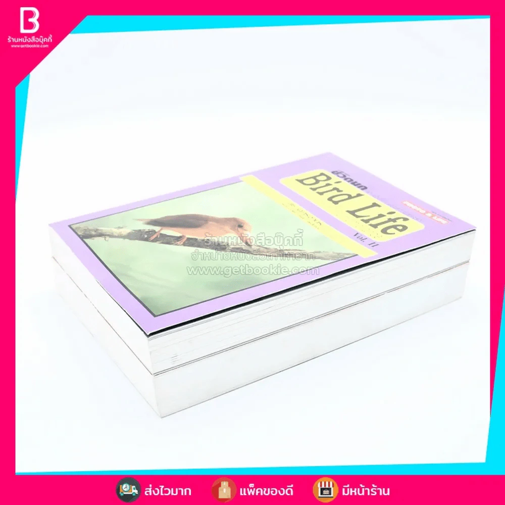 ชีวิตนก จากบันทึกและความทรงจำ Bird Life From Records & Remembrance Vol.1-2 - สุธี ศุภรัฐวิกร รูปที่ 3