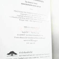 การฝึกปฏิบัติพลังแห่งจิตปัจจุบัน รูปที่ 3