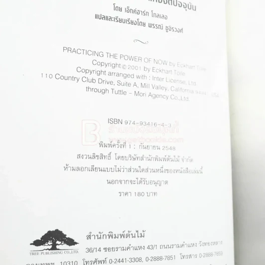 การฝึกปฏิบัติพลังแห่งจิตปัจจุบัน รูปที่ 3