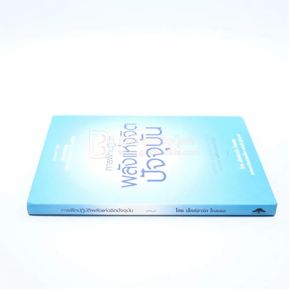 การฝึกปฏิบัติพลังแห่งจิตปัจจุบัน รูปที่ 2
