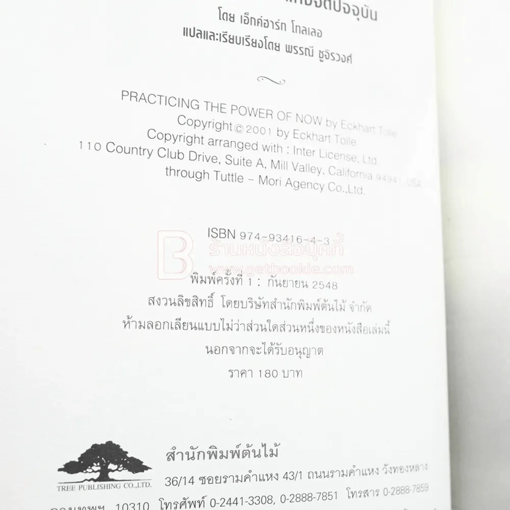 การฝึกปฏิบัติพลังแห่งจิตปัจจุบัน รูปที่ 3