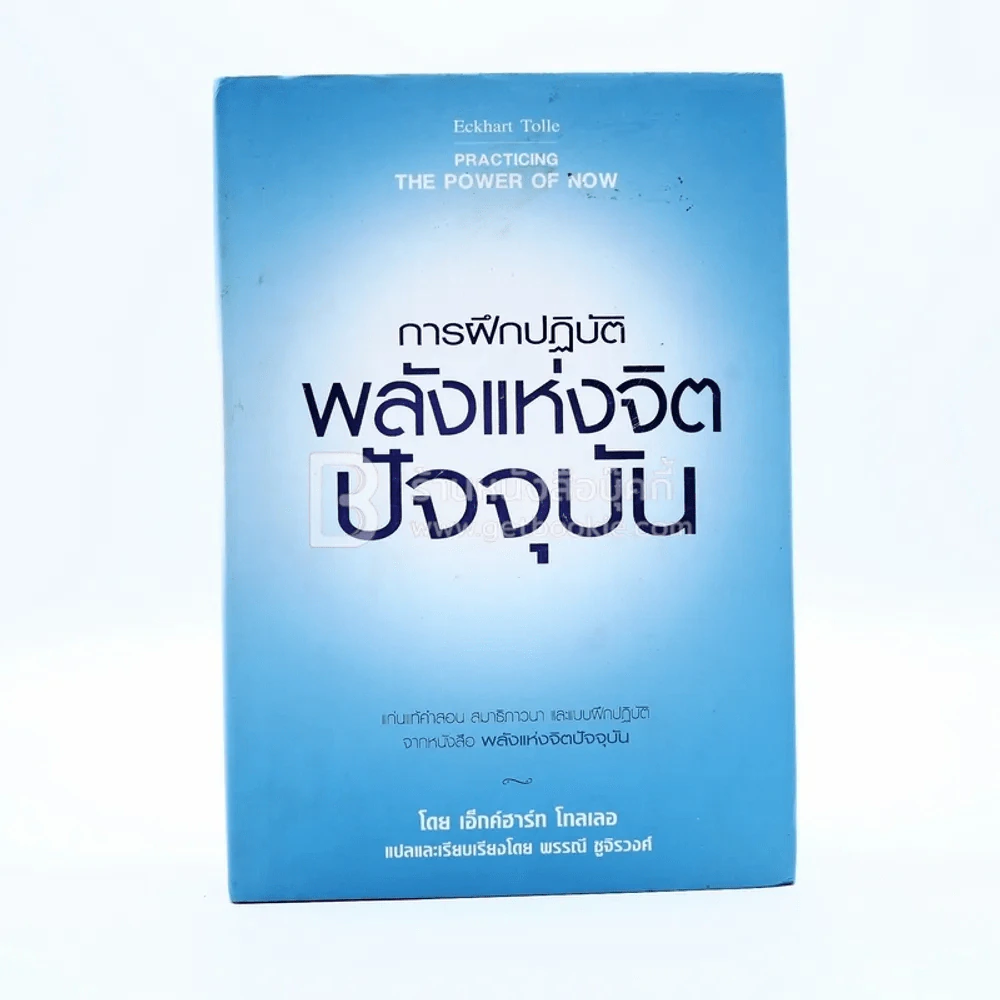 การฝึกปฏิบัติพลังแห่งจิตปัจจุบัน รูปที่ 1