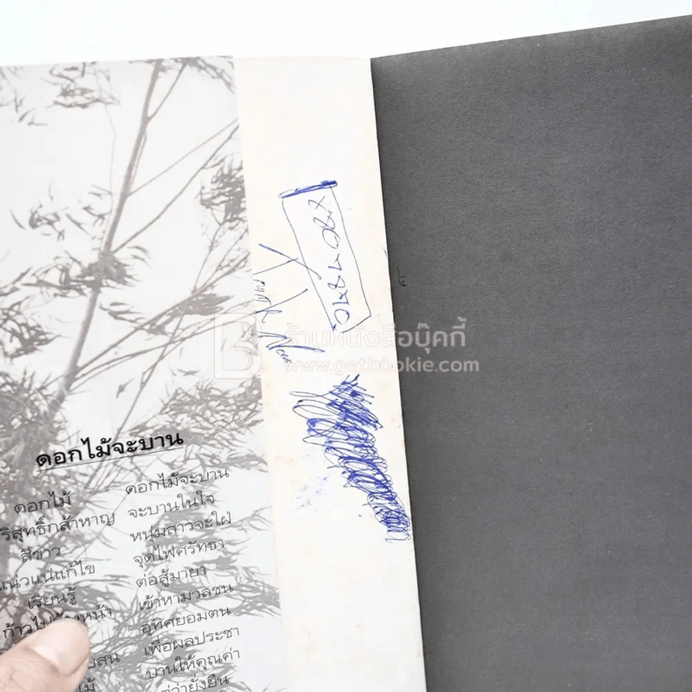 ใบไม้ที่หายไป - จิระนันท์ พิตรปรีชา (รางวัลซีไรท์) รูปที่ 3