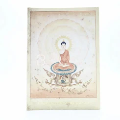การสร้างบารมีของพระพุทธเจ้า - พระครูธรรมธรสุมนต์ นันทิโก และ อาจารย์ สันติ พันธุ์เถกิงอมร รูปที่ 1
