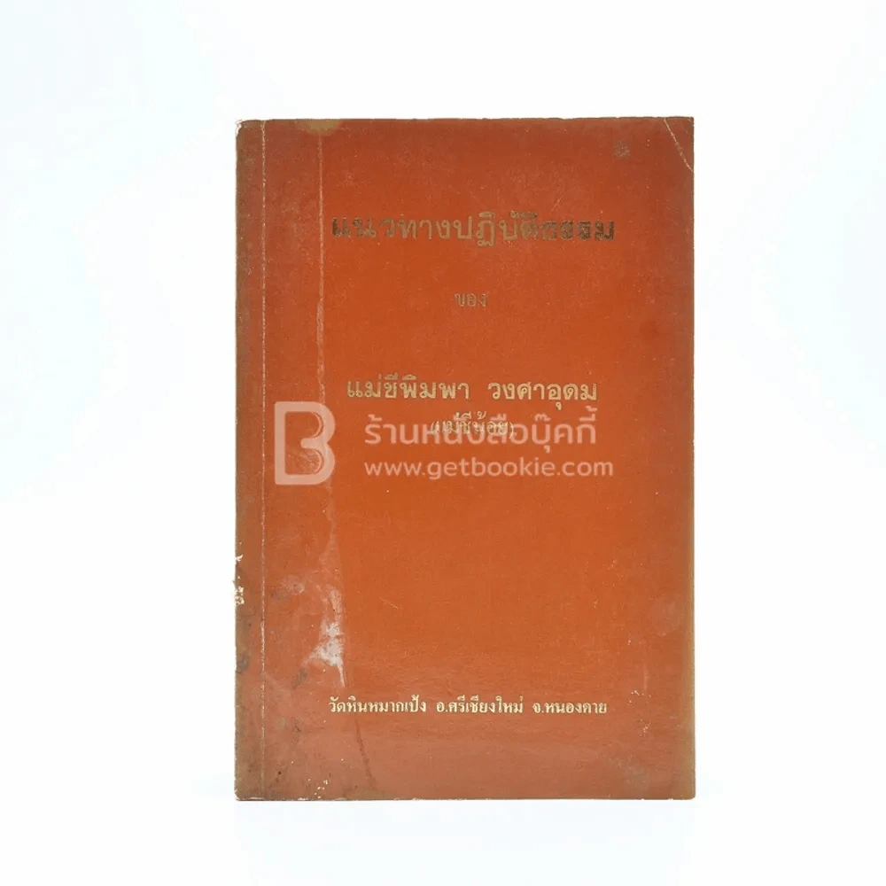แนวทางปฏิบัติธรรม ของ แม่ชีพิมพา วงศาอุดม (แม่ชีน้อย) รูปที่ 1