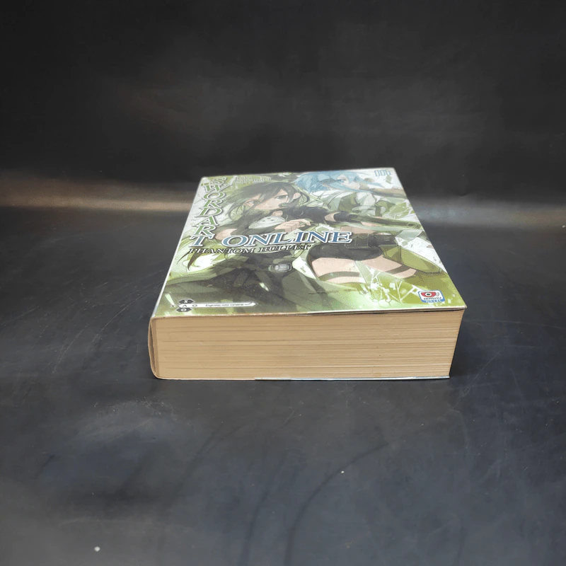 Sword Art Online ซอร์ด อาร์ต ออนไลน์ เล่ม 6 รูปที่ 6
