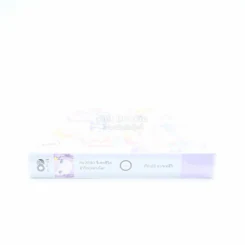 Re:Zero รีเซทชีวิตฝ่าวิกฤตต่างโลก เล่ม 6 รูปที่ 2