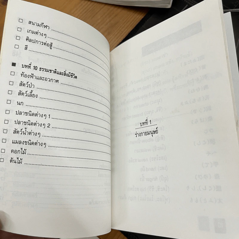 เรียนศัพท์ ภาษาญี่ปุ่น รูปที่ 5