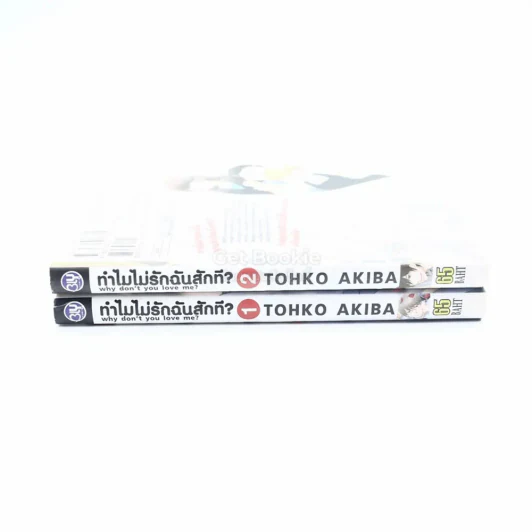ทำไมไม่รักฉันสักที 2 เล่มจบ รูปที่ 2