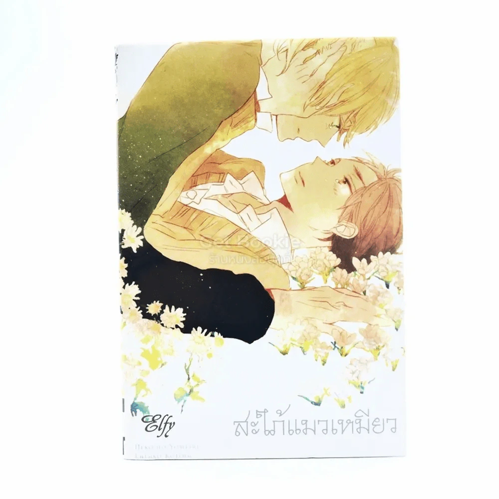 สะใภ้แมวเหมียว รูปที่ 1