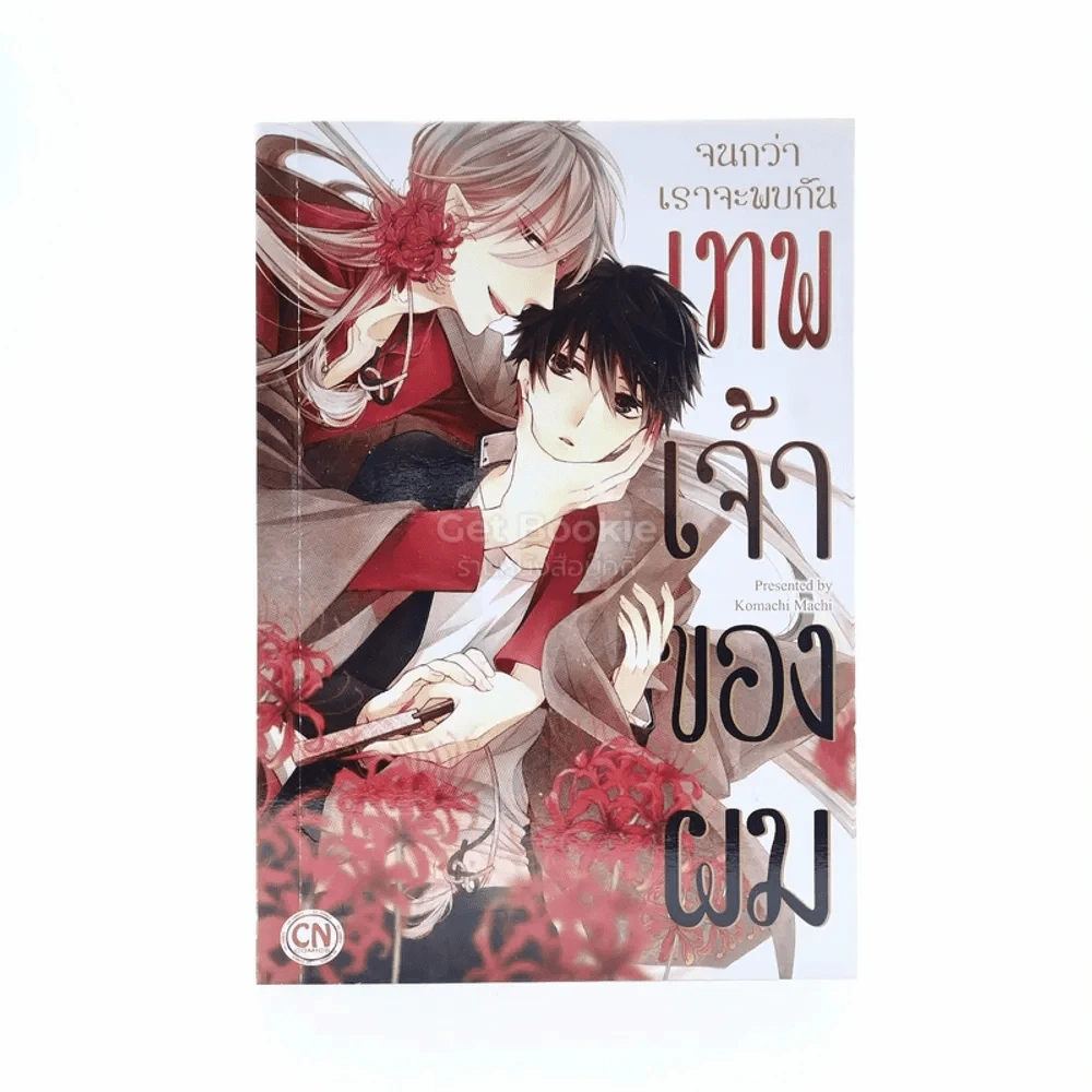 จนกว่าเราจะพบกันเทพเจ้าของผม รูปที่ 1