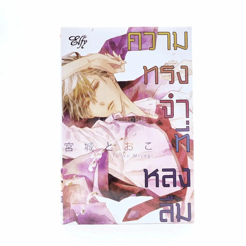 ความทรงจำที่หลงลืม รูปที่ 1